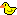 :duckie: