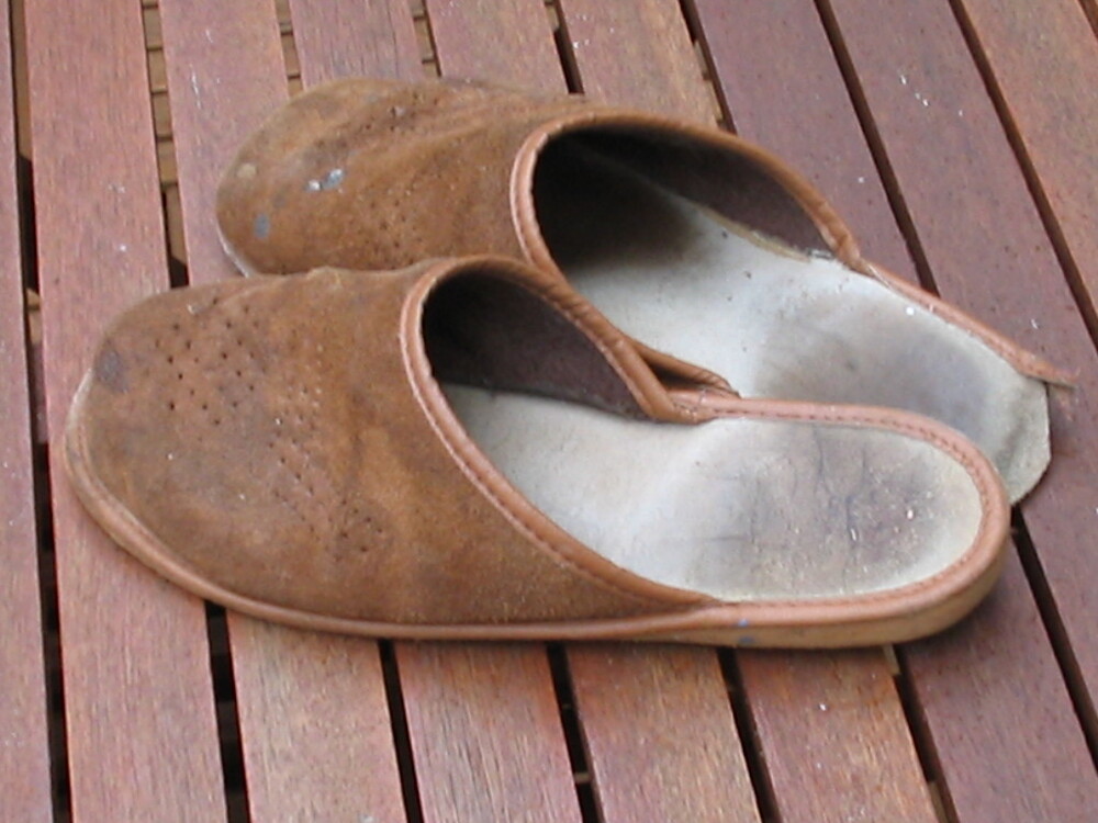 http://upload.wikimedia.org/wikipedia/commons/e/e8/Pantoffels.jpg