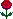 :flower: